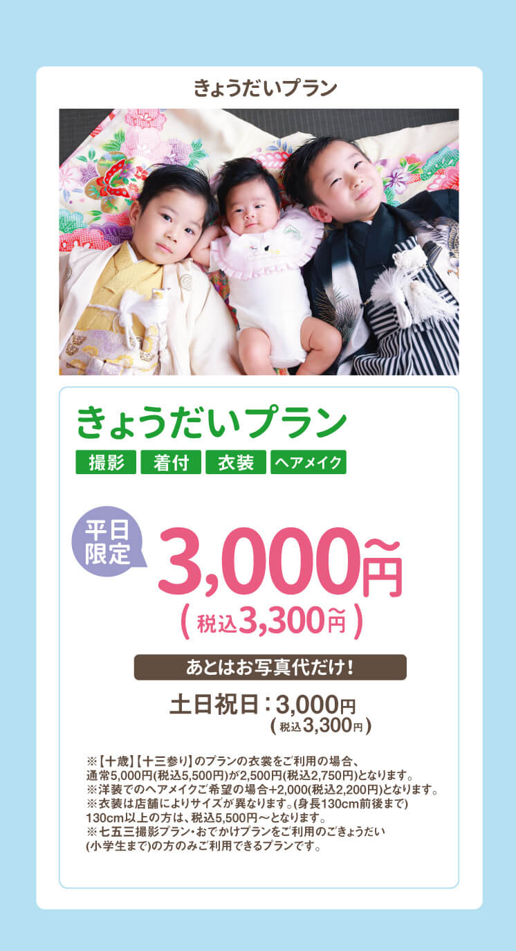 兄弟プラン