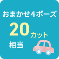 4ポーズ20カット