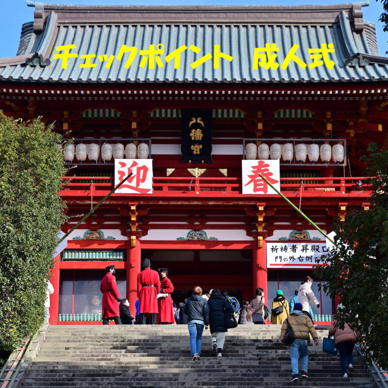 【成人式】直前確認するべき　チェックポイントとは?