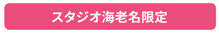 251215【スタジオ】2027年度振袖_ママ振&レンタル&ファミリープラン_早期キャンペーン_21