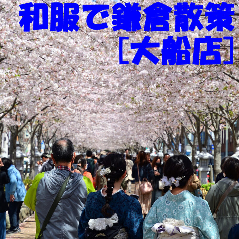 【大船店】和服で鎌倉散策はいかがでしょう