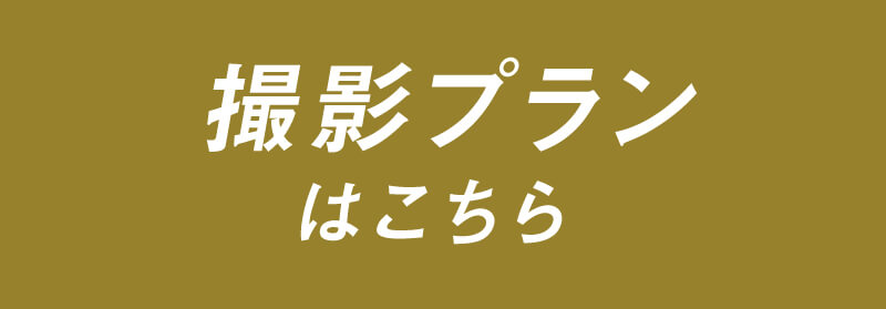 レンタルボタン (2)