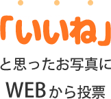 ステキ！と思ったお写真にWEBから投票